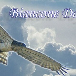 Biancone Day 2007