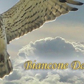 Biancone Day 2009