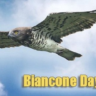 Biancone Day 2010
