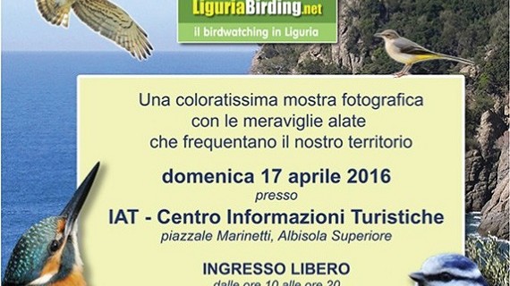 Mostra “Ali Sulla Liguria”