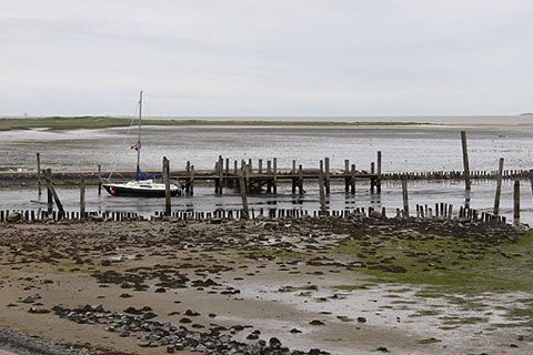 La marea a nord di De Cocksdorp lascia affiorare una grande porzione di costa